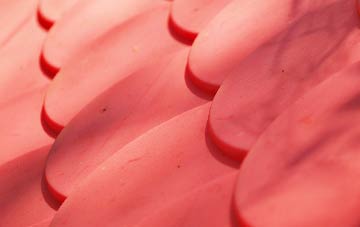 Drinisiadar plastic roof costs